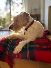 Load image into Gallery viewer, Blanket - Border Stewart Royal