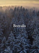 Load image into Gallery viewer, Borealis Scented Candle