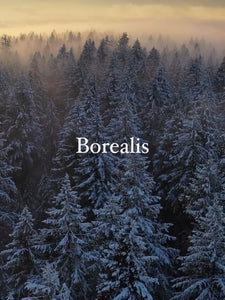 Borealis Scented Candle